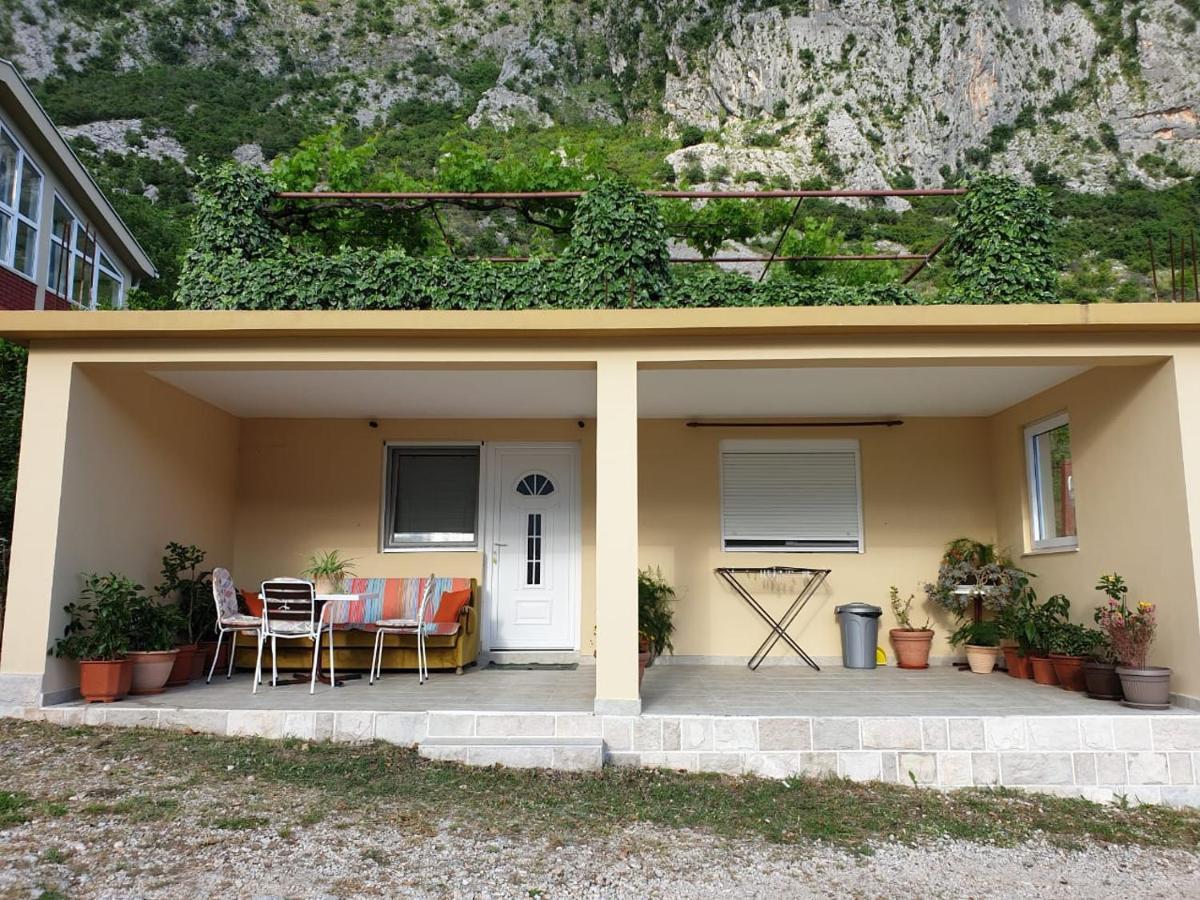 Jelena * Kotor