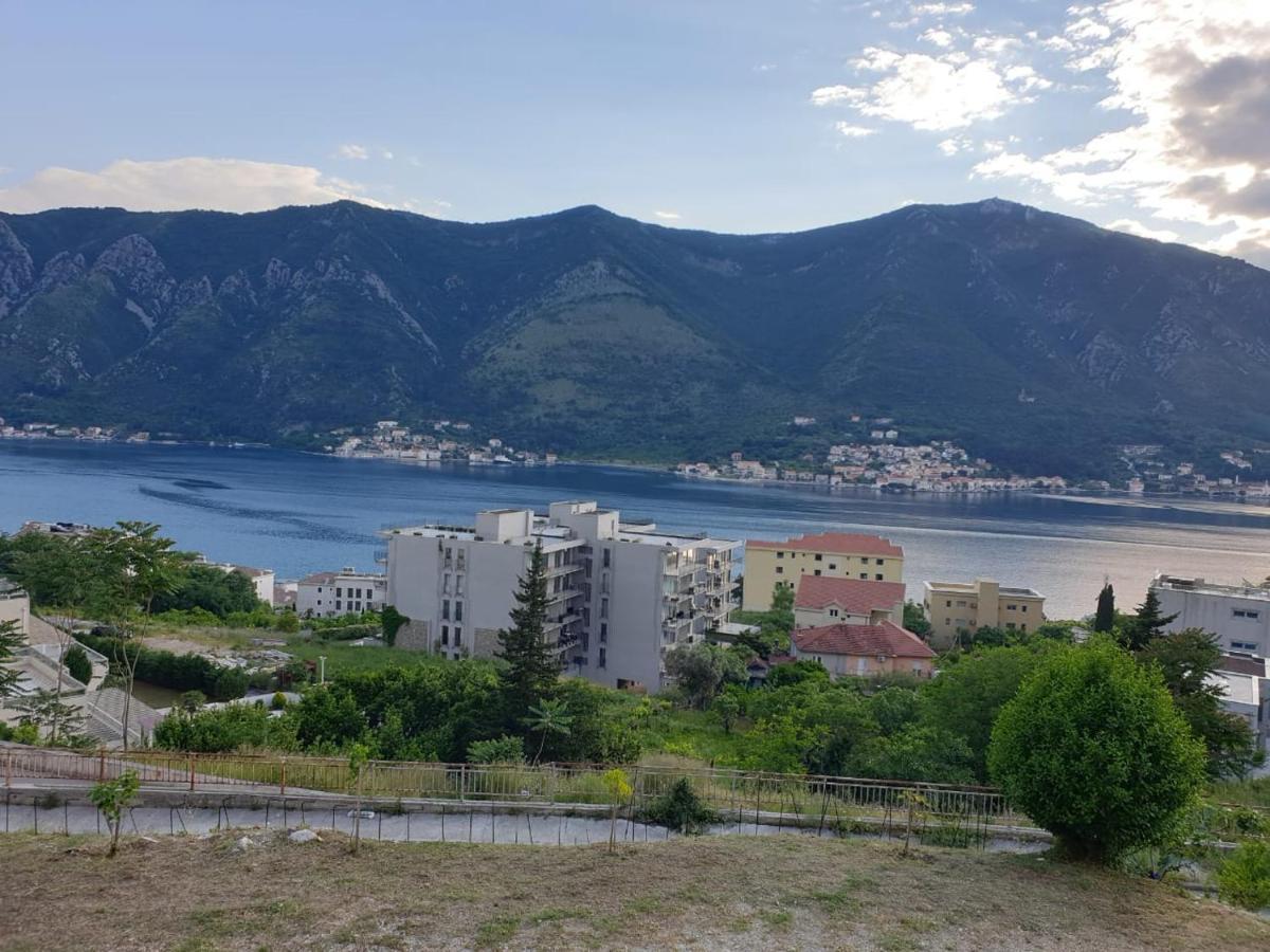 Jelena * Kotor