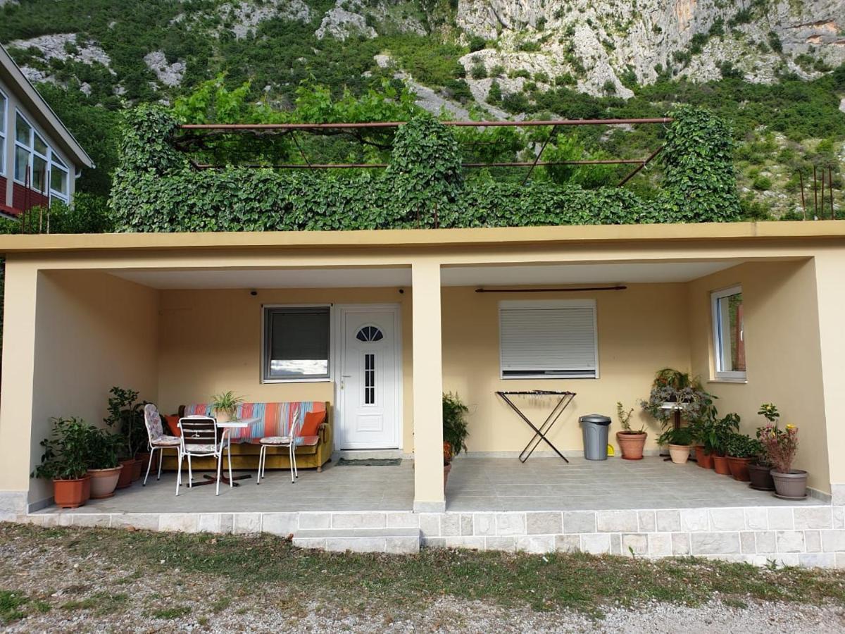 Appartement Jelena Kotor