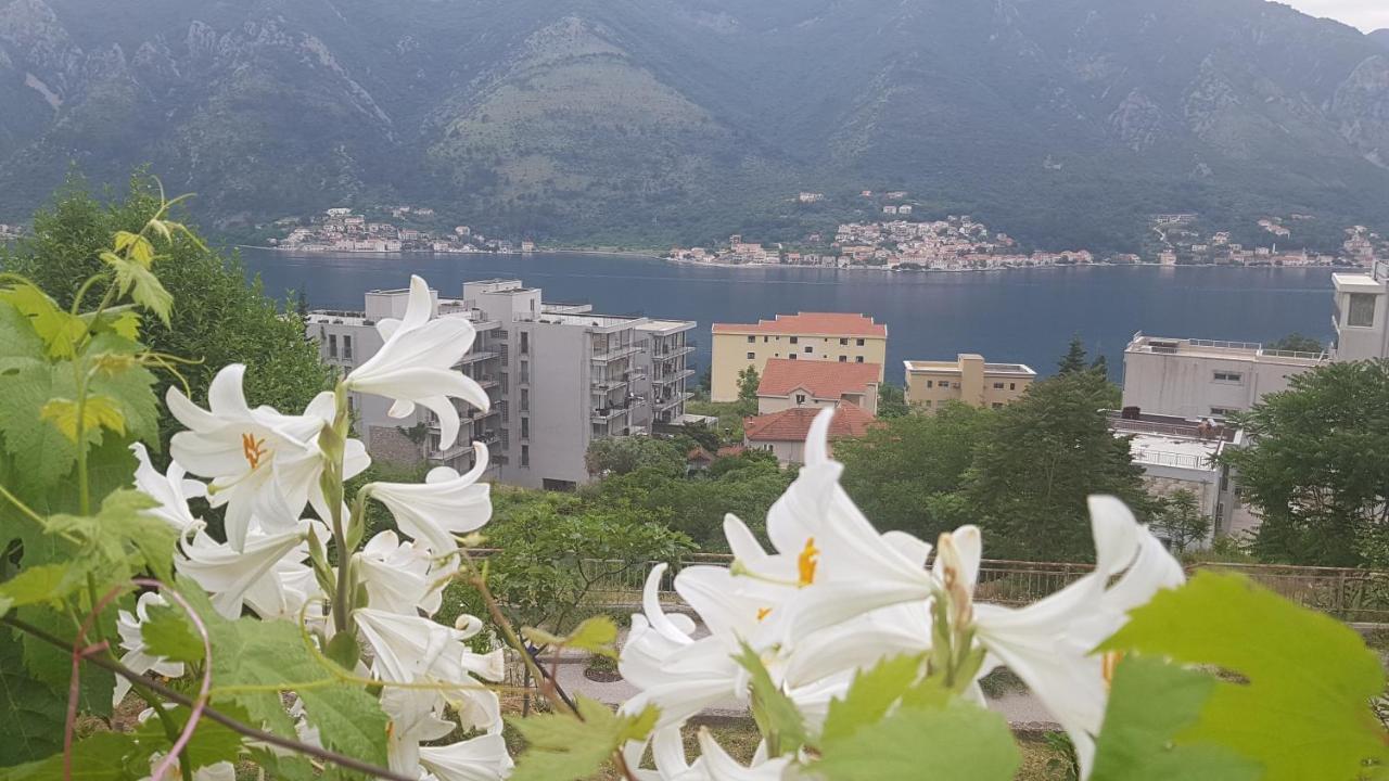 Appartement Jelena *